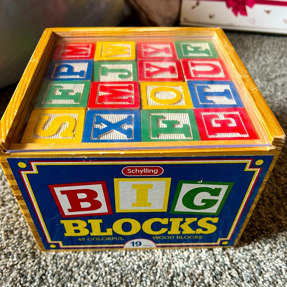 Schylling abc wooden blocks in case